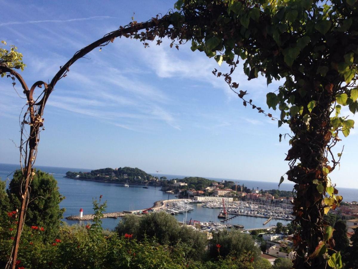 "L'Olivadou" St Jean Cap Ferrat Lägenhet Saint-Jean-Cap-Ferrat Exteriör bild